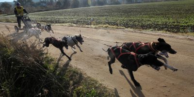 CAMPIONAT DE CATALUNYA sobre terra